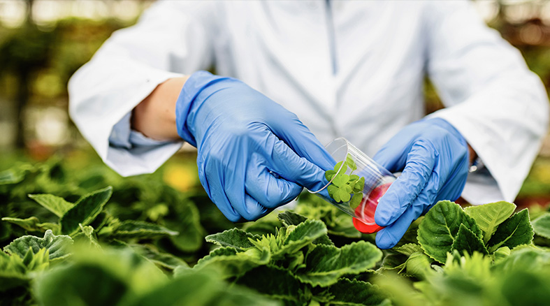 Fungicides